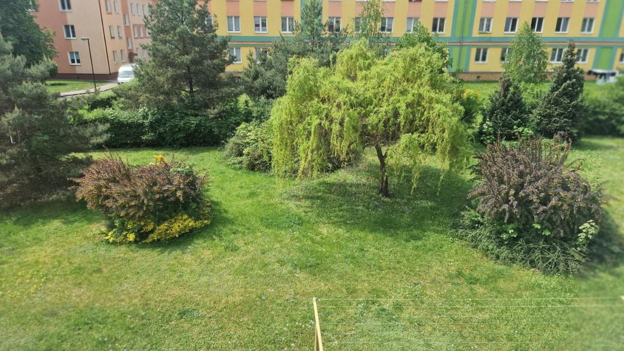 Alfama Garden Apartment Grudziadz Bagian luar foto